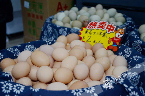 江北華新街鄉(xiāng)村振興創(chuàng)新創(chuàng)業(yè)園啟航，初級農(nóng)產(chǎn)品升級迎來新機遇
